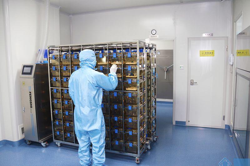 SPF级动物房实验室